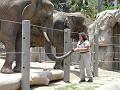 Zoo P1010967